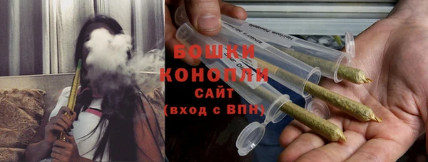 бошки Новозыбков
