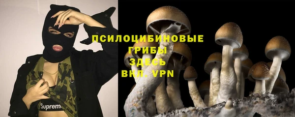 дурь Новокубанск
