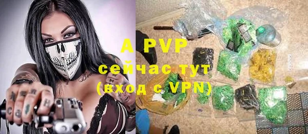 бошки Новозыбков