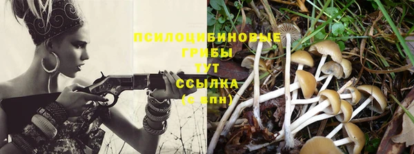 бошки Новозыбков