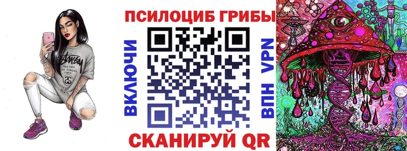 купить цена Торжок Псилоцибиновые грибы Psilocybine cubensis